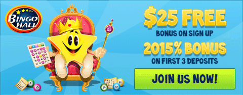 Home - Bingo Hall 480x188 Banner
