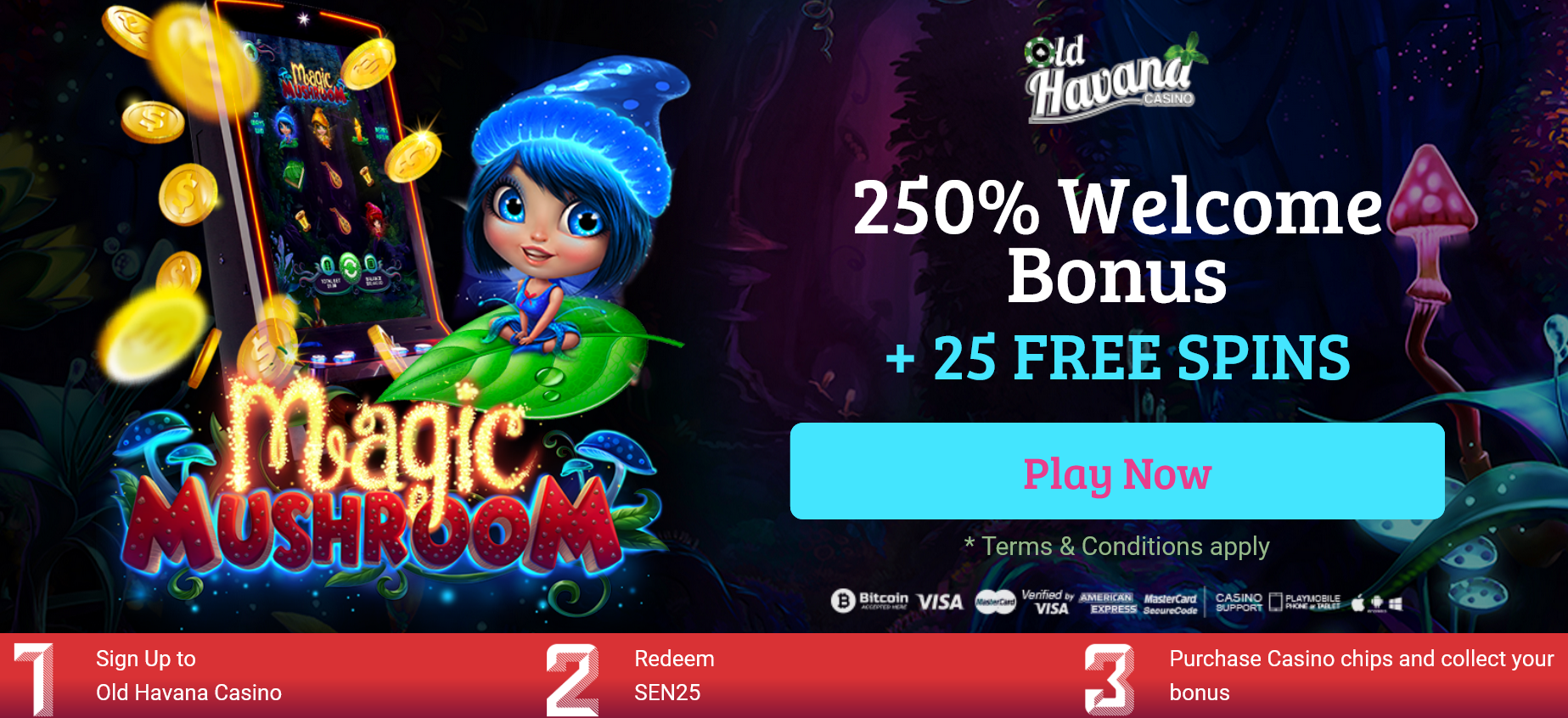 250% Welcome Bonus
                                                + 25 FREE SPINS